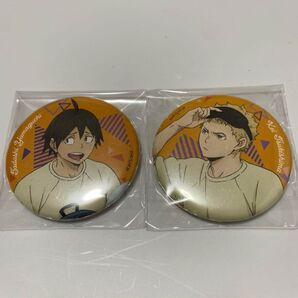 ハイキュー 缶バッジコレクション 缶バッジ セット 月島蛍 山口忠 to the top