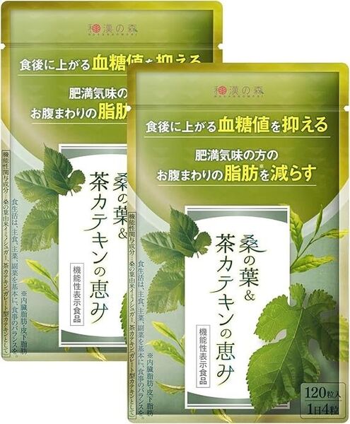 桑の葉 茶カテキンの恵み