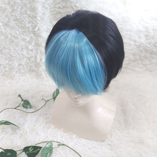 【新品未使用】ウィッグ メンズ かつら ショート フルウィッグ 男装 黒