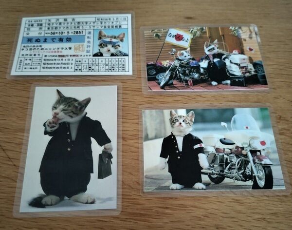 なめ猫 矢沢猫吉 免許証 全日本暴猫連合 なめんなよ 4枚セット
