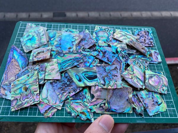 アワビ貝殻 ニュージーランド産 10枚セット ネイル用シェルパーツ ルアー付き螺鈿細工 ハンドクラフト ハンドメイド