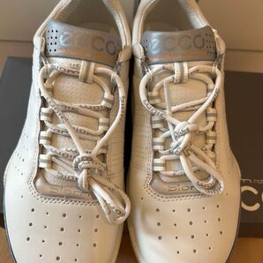 ecco biom c low 36 訳あり