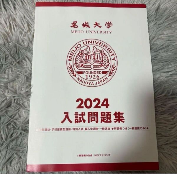 名城大学 入試問題集 2024