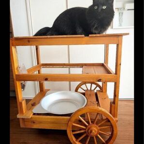 2段キャットワゴン