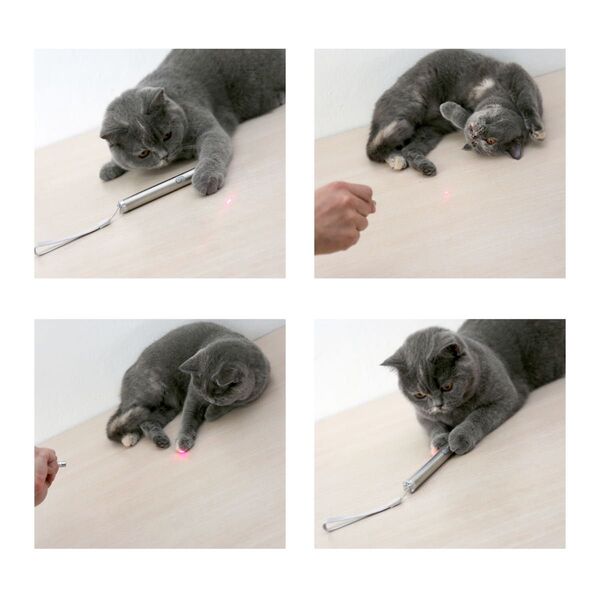 ペンライト 猫 LEDポインター 光るおもちゃ ホワイトライト 双種ライト 猫じゃらし 猫遊び用品 ストレス解消 電動