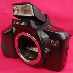 甦るフィルムカメラ★ Canon EOS 750…①