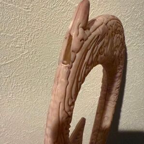 壊れたマウイ釣り針