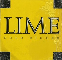 即決(12)GOLD DIGGER/LIME_画像1