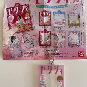 新品♪ ゼクシィガチャ ★常識&マナー号