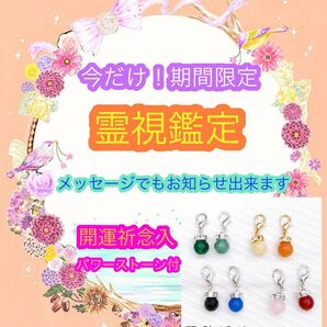 【今だけ価格】霊視鑑定 お悩みひとつ 鑑定書・天然石チャームお一つ付き