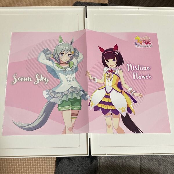 雑誌パッシュ2月号とじ込み付録 ウマ娘プリティーダービー ポスター