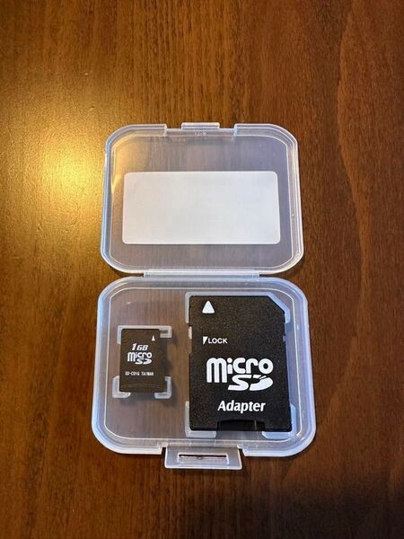 CASIO カシオ microSD 中日辞典 箱付き