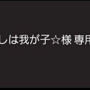 【専用出品】ちいかわ