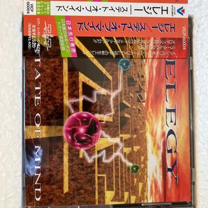 ELEGY / State of Mind