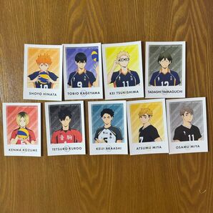 ハイキュー 全国遠征 ポップアップストア 特典 ステッカー 限定 全種ステッカー