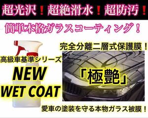 超絶滑水性 プレミアム ガラスコーティング剤 500ml(本物強力ガラス被膜！洗車傷隠蔽効果！超簡単ムラ無し！超美艶施工！最高級グレード！)