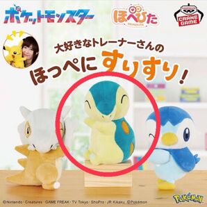 ポケットモンスター ほぺぴた ヒノアラシ