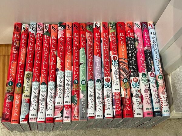 私たちはどうかしている 全19巻(本編全16巻+番外編全3巻) セット 全巻セット