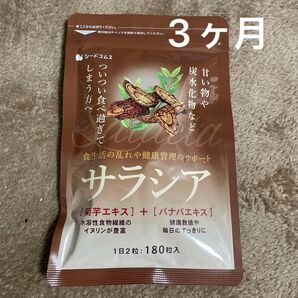 サラシア 3ヶ月分
