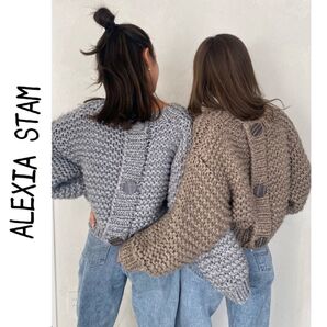 新品 ALEXIA STAM バックボタンクロップドニットトップ