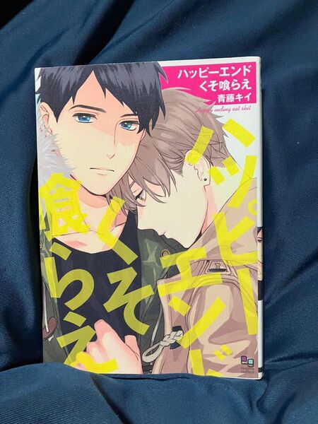 『ハッピーエンドくそ喰らえ』青藤キイ!BL!