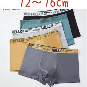 ボクサーパンツ メンズ 5枚セット まとめ買い 前閉じ オールシーズン