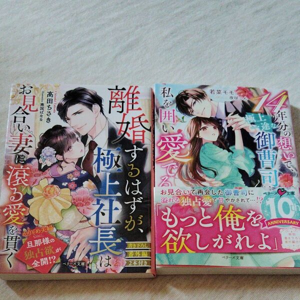 ☆離婚するはずが、極上社長はお見合い妻に滾る愛を貫く 、14年分の想いで、極上一途な御曹司は私を囲い愛でる計2冊セット(B)