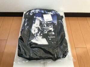 国内正規品 新品未使用 17AW Supreme x The North Face Expedition Backpack ノースフェイス エクスペディション バックパックMountain雪山