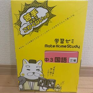 学習ゼミ 中3国語 テスト対策本 あすなろ教材