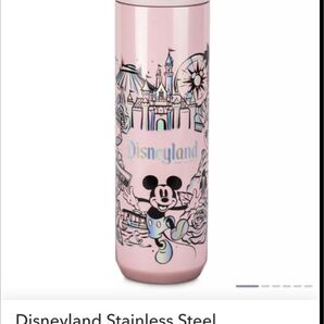 【海外ディズニー】スタバタンブラー LA ディズニーアナハイム (カリフォルニアディズニー)