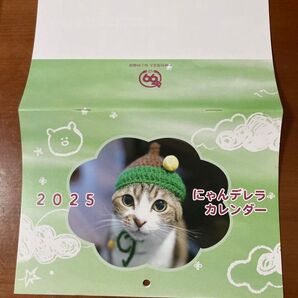 保護猫カレンダー2025