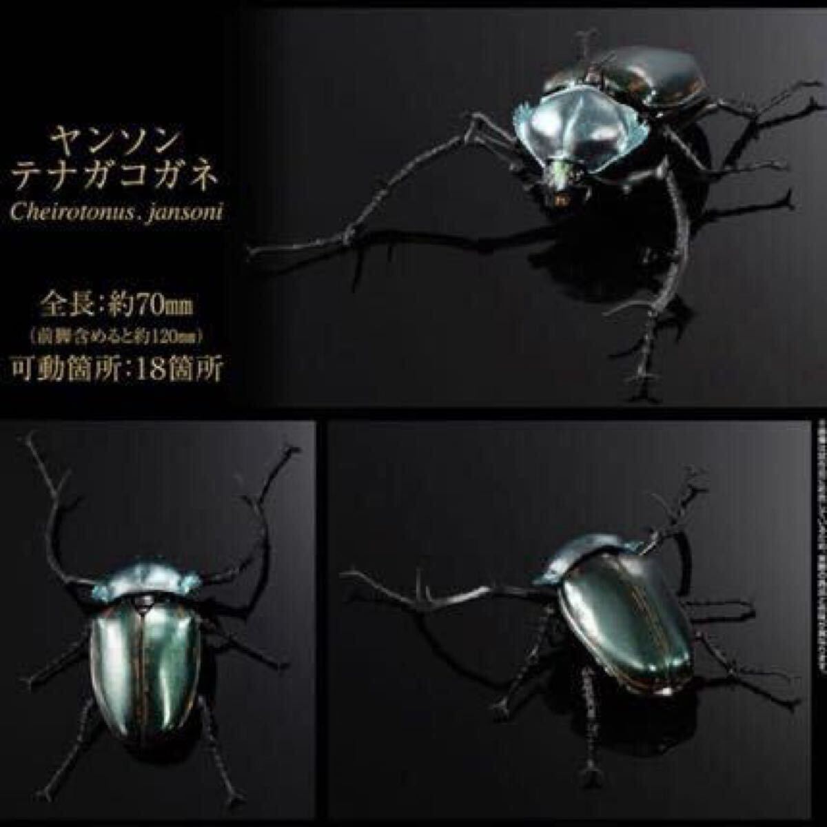 テナガコガネ フィギュア Yahoo!オークション -「テナガコガネ」(生き物) (フィギュア)の