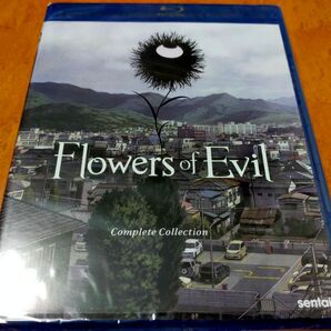惡の華 未開封輸入盤Blu-ray 植田慎一郎/伊瀬茉莉也/日笠陽子/上村彩子/原紗友里/小林愛/押見修造/長濱博史/伊丹あき