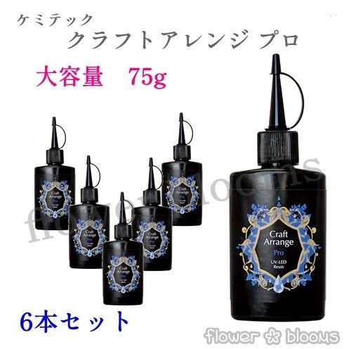 【6本セット】75g ケミテックUV-LED レジン液 クラフトアレンジPro(プロ)