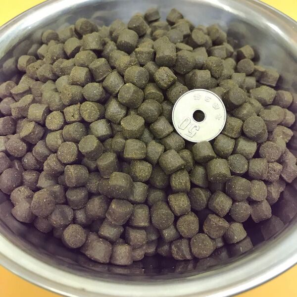 ハイカロリー 増体用飼料 ハマチEPフレンド8(8㎜)1kg 錦鯉 エンドリケリー ナマズ プレコ アロワナ ナマズの餌