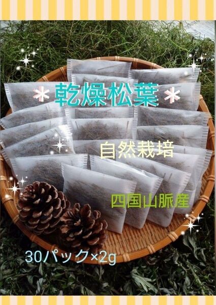 松葉茶 自然栽培 30パック