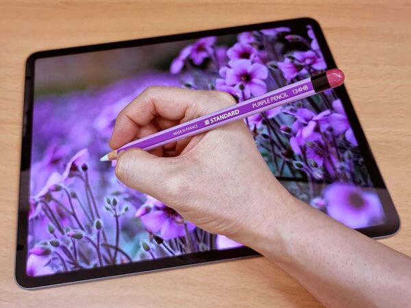【最終値下げ!】ラッピングビニールスキン,Apple Pencil第2世代、 Pro専用 2枚セット