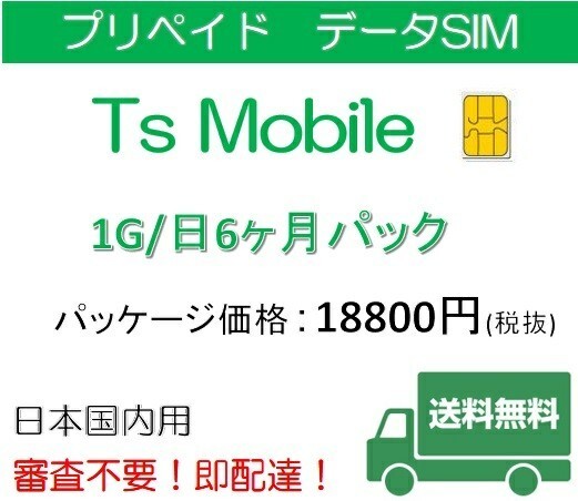 格安SIM プリペイド 日本国内 ドコモ 高速データ容量1G/日6ヶ月プラン