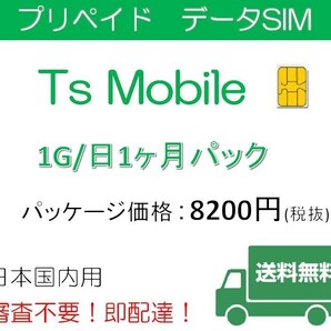 データ通信 日本国内 ドコモ 格安SIM 高速データ容量1G/日1ヶ月プラン
