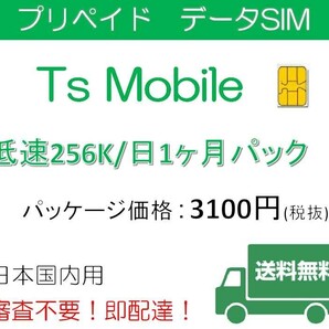 ドコモ 格安SIM 低速 無制限1ヶ月プラン