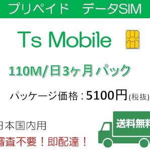 ドコモ 格安SIM プリペイドsim 高速データ容量110M/日3ヶ月プラン
