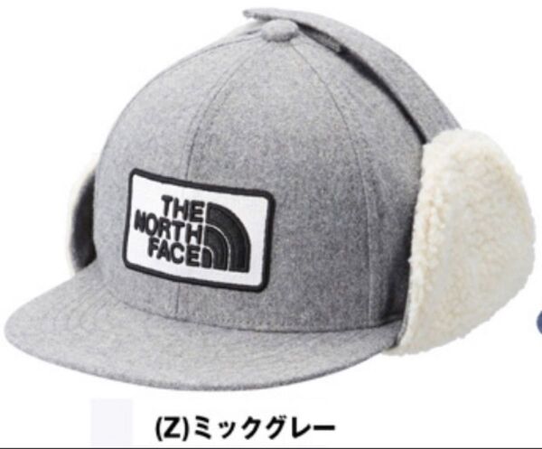 THE NORTH FACE キャップ 帽子 グレー KL