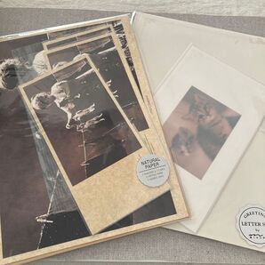 実写 子猫レターセット 平成レトロ 写真