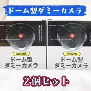 【未使用】防犯対策 ドーム型 ダミーカメラ