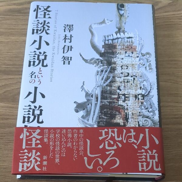 怪談小説という名の小説怪談 澤村伊智/著