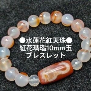 №1504 水蓮花紅天珠/紅花瑪瑙10mm玉ブレスレット