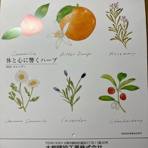 カレンダー 新品