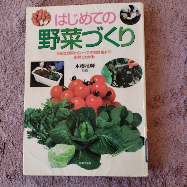 初めての野菜作り