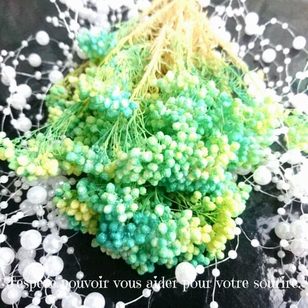 加工花材* イエロー グリーン ライスフラワー プリザーブドフラワー ハーバリウム レジン アレンジメント 花材