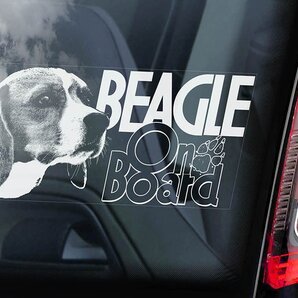 ◆送料無料【ビーグル】外張り@カーステッカー 220X100mm 外貼り カー ステッカー 車 ガラス DOG ON BOAD 犬 D2@2646-2